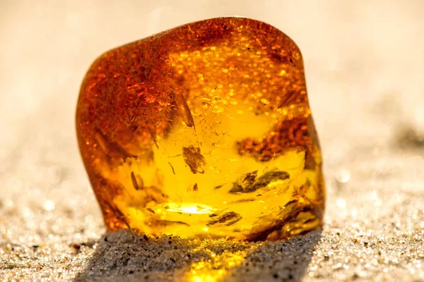 Amber in sun on a beach of the Baltic sea — Stock Photo, Image