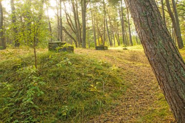 Ww2 Polonya sığınak