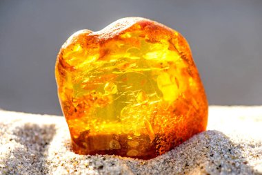 Amber Baltık Denizi'nin bir plajda