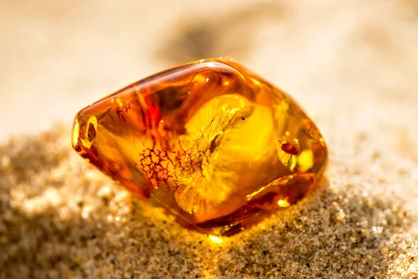 Amber on a beach of the Baltic Sea — Stock Photo, Image