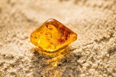 Amber Baltık Denizi'nin bir plajda güneşin altında