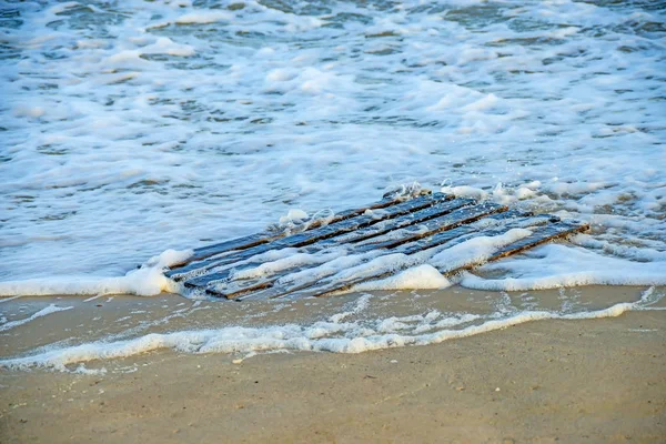 Driftwood, палітра на пляжі Балтійського моря — стокове фото