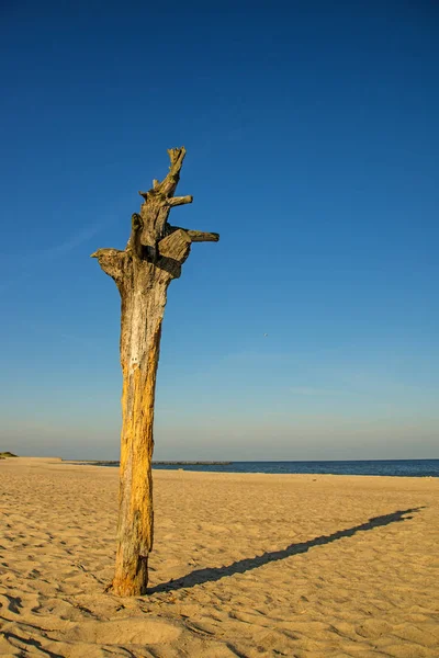 Magányos beach, a Balti-tenger, Lengyelországban, Ustka — Stock Fotó