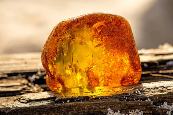 Amber in sun on a beach of the Baltic sea — Stock Photo, Image