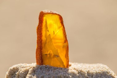 Amber Baltık Denizi'nin bir plajda güneşin altında