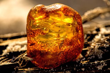 Amber Baltık Denizi'nin bir plajda güneşin altında