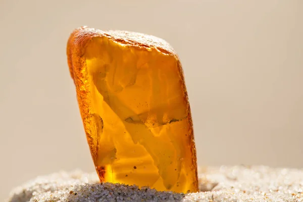 Amber in sun on a beach of the Baltic sea — Stock Photo, Image