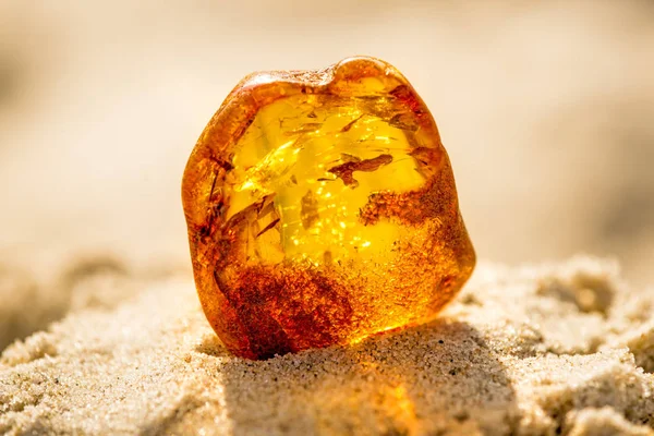 Amber in sun on a beach of the Baltic sea — Stock Photo, Image