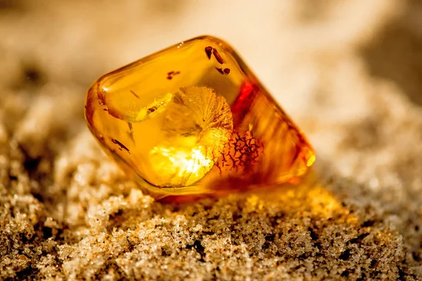 Amber i solen på en strand i Östersjön — Stockfoto