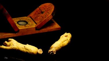 ginseng, kök bir dönüş tablo