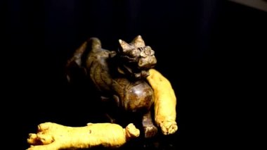 ginseng, kök bir dönüş tablo