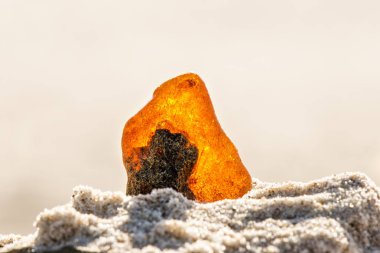 Amber Baltık Denizi'nin bir plajda