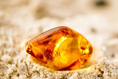 Amber Baltık Denizi'nin bir plajda güneşin altında