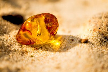 Amber Baltık Denizi'nin bir plajda güneşin altında