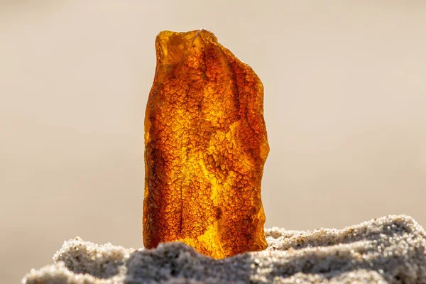 Âmbar em uma praia do Mar Báltico — Fotografia de Stock