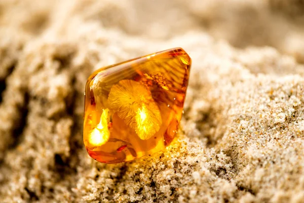 Amber in sun on a beach of the Baltic sea — Stock Photo, Image