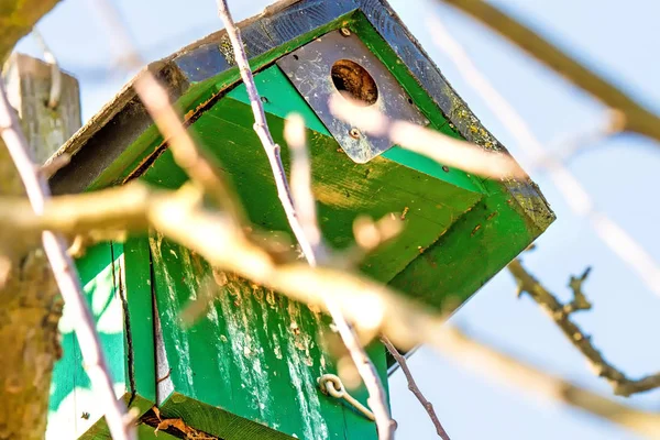 Ein Vogelhaus in einem Baum im Winter — Stockfoto