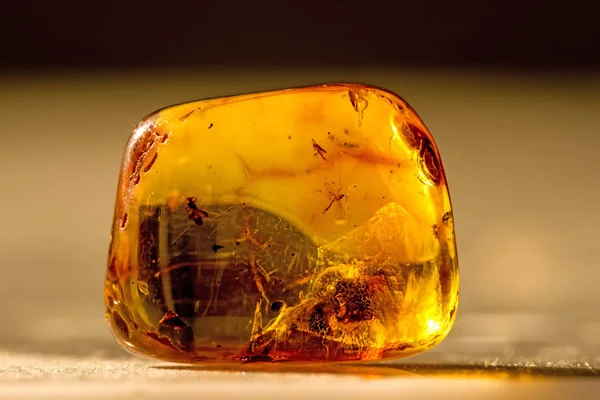 Amber in sun with inclusions — Stock Photo, Image