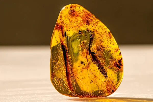 Amber in sun with inclusions — Stock Photo, Image