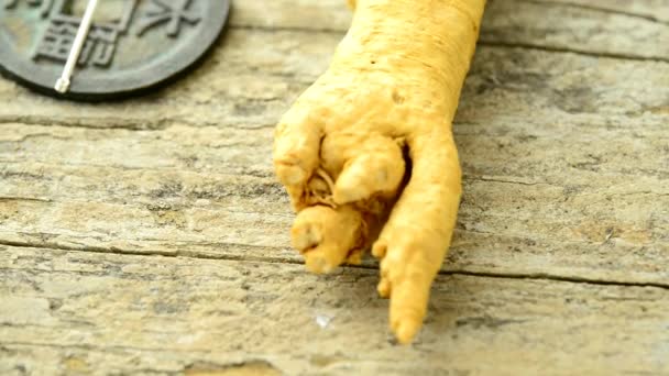 Agulha Acupuntura Raiz Ginseng Uma Mesa Volta — Vídeo de Stock