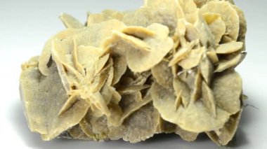 Çöl gülü bir dönüş tablo