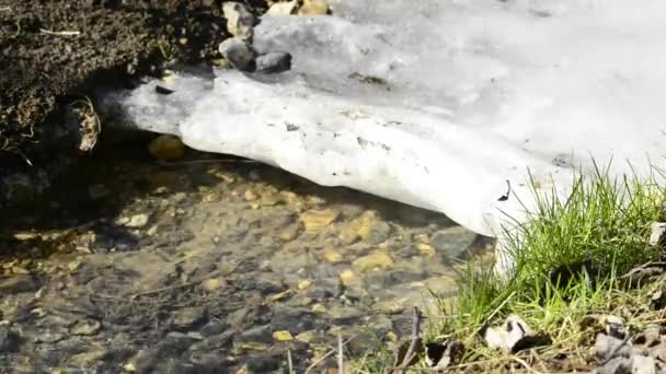 小小河与冰 — 图库视频影像