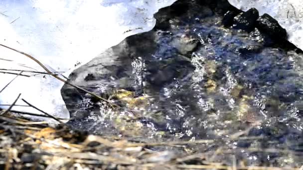 Pequeño Arroyo Con Hielo — Vídeos de Stock