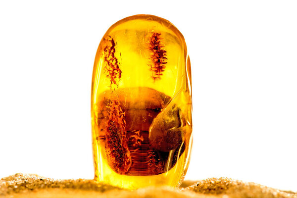 Янтарь на солнце с включениями
