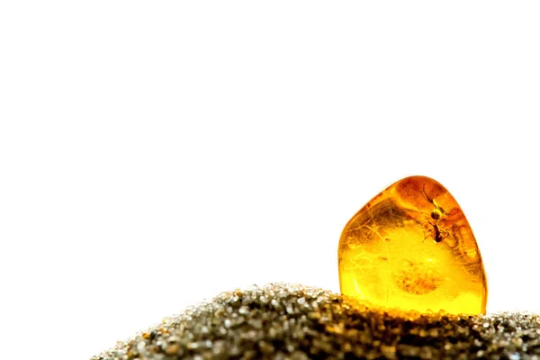 Amber in sun with embedded ant — Stock Photo, Image
