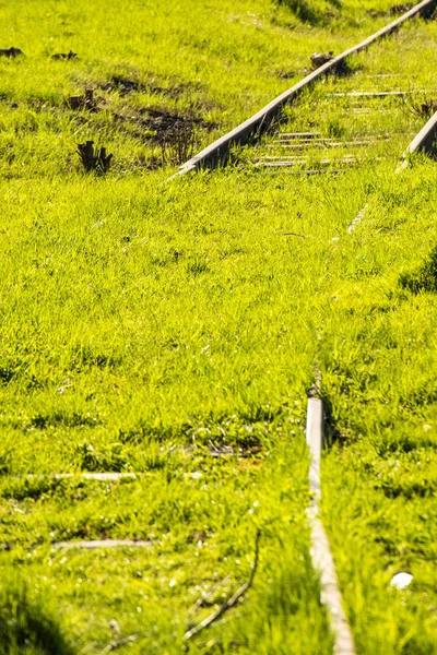 Rieles Fuera Orden Cubierto Hierba Verde —  Fotos de Stock