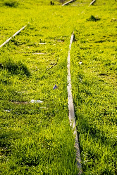 Rails hors d'usage envahi par l'herbe verte — Photo