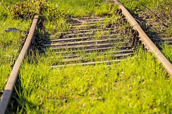 Rieles fuera de orden cubierto de hierba verde — Foto de Stock