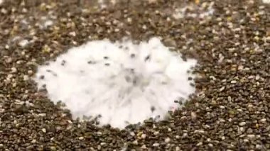 Chia tohumları bir sehpaya düşüyor.