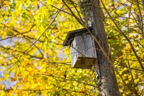 Een vogelhuisje in een boom in de herfst — Stockfoto