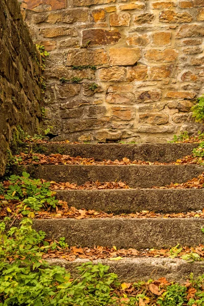 Velho, escadas medievais com folhas verdes e caídas — Fotografia de Stock