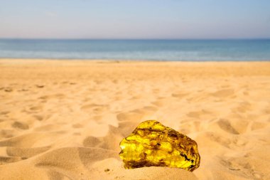 Amber Baltık Denizi'nin bir plajda