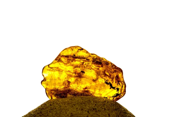 Amber in sun with inclusions on a white empty background — Stock Photo, Image