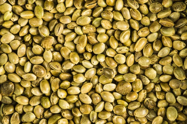 Hemp seeds, unpeeled in a closeup — Stock Photo, Image