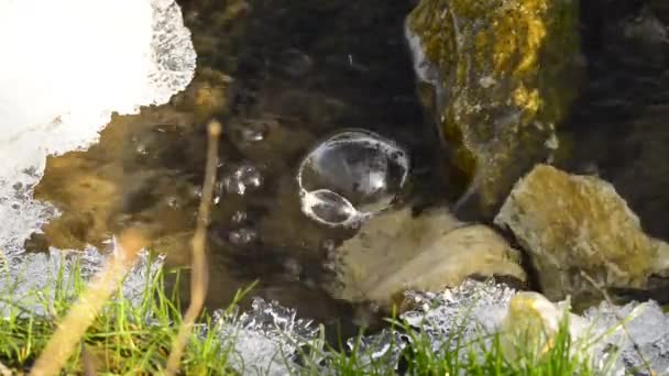 冬の小さな小川と氷 — ストック動画