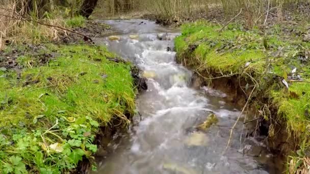 Pequeno Riacho Vívido Primavera Gemany — Vídeo de Stock