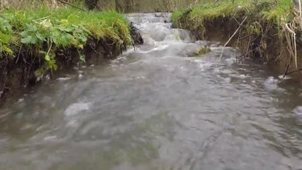 Small Vivid Creek Spring Gemany — Stock Video