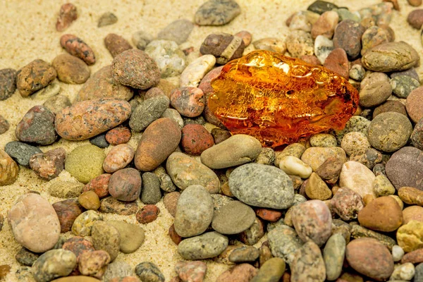 Ámbar en una playa con piedras — Foto de Stock