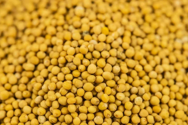 Semillas de mostaza en una macro —  Fotos de Stock