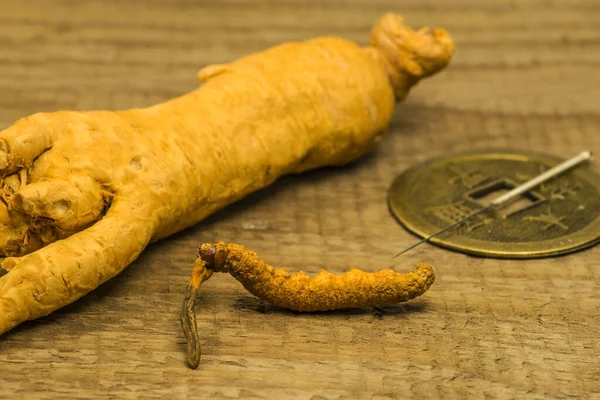 毛毛虫真菌和人参根，传统药物a — 图库照片