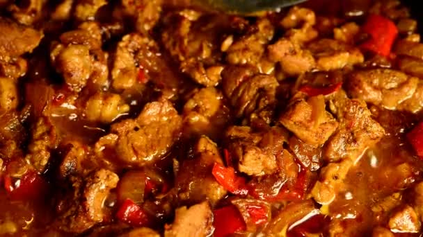 Cooking Hungarian Pork Goulash — Stock Video