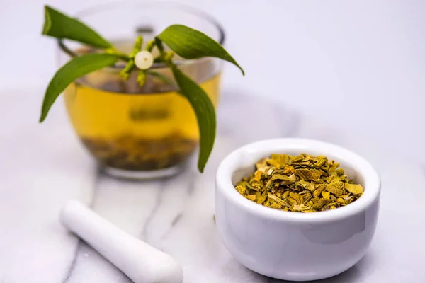 Mistletoe Tea Mortar Frehs Dried Mistletoe Drug — Stock Photo, Image