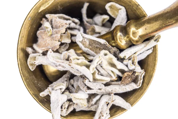 Сушеные Листья Шалфея Растворе Вырезанные Белом Фоне — стоковое фото