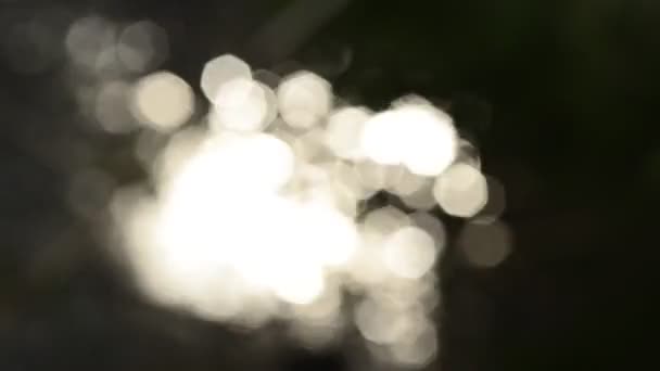 小河中的太阳反射 — 图库视频影像