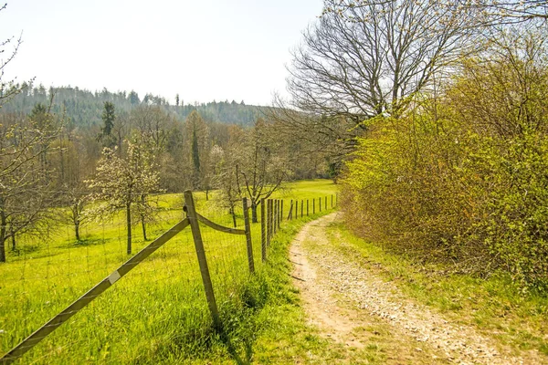 Landskap Med Väg Äng Träd Buskar Tidigt Våren Tyskland — Stockfoto