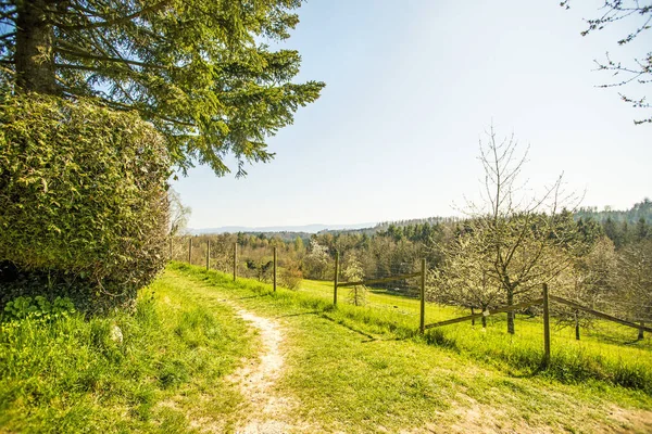 Landskap Med Väg Äng Träd Buskar Tidigt Våren Tyskland — Stockfoto